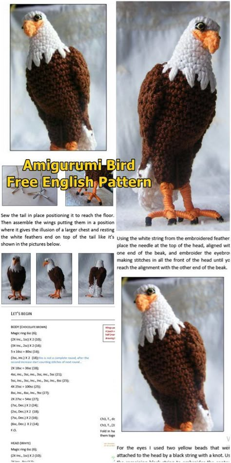 Amigurumi Bald Eagle Free Crochet Pattern Crochet Parrot, Bird Crochet, Crochet Bird Patterns, Crochet Birds, Crochet Easy, Cute Bird, Crochet Amigurumi Free Patterns, Pattern Pictures, Crochet Animal Patterns