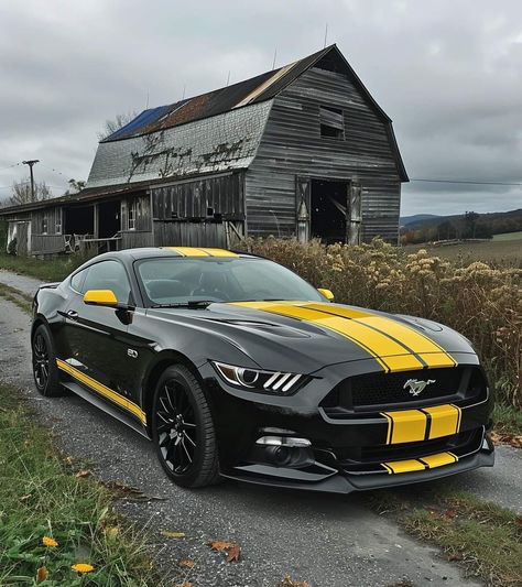 Black Car Mustang, Fort Mustang, Mustang Racing Stripes, Mustang Stripes, Detroit Usa, Black Mustang With Stripes, Mustang 1969 Black, Black Mustang, Ford Mustang Cobra