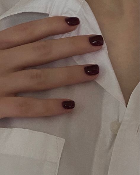 Dark Red Nails Gel Short, Dark Red Painted Nails, Dark Wine Nails Short, Dark Cherry Red Nails Short, Red Short Nails Aesthetic, Best Colours For Short Nails, Dark Academia Short Nails, Grunge Nail Colors, Nail Paint For Short Nails