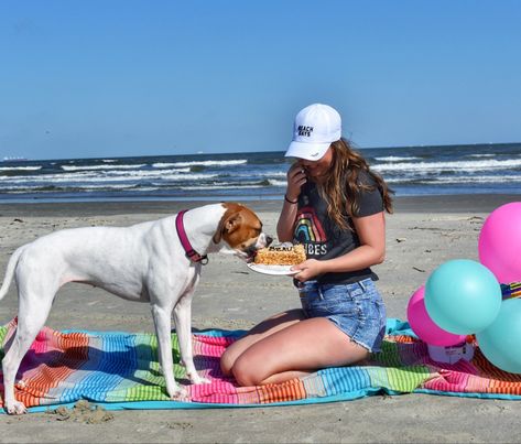 Cake And Balloons, Cake Treats, Tiger Party, Playing In The Sand, Three Dog, Good Vibes Shirt, Beach Birthday Party, Happy 4th Birthday, Dog Bakery