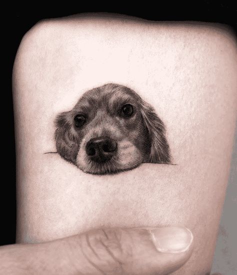 Dog Tattoo Design Images (Dog Ink Design Ideas) Pet Dog Tattoo Ideas, Small Pet Portrait Tattoo, Dog Memorial Tattoo Ideas, Small Dog Portrait Tattoo, Nose Tattoo Ideas, Tattoo Dog Ideas, Dog Nose Tattoo, Charlie Tattoo, Dog Tattoo Ideas Memorial