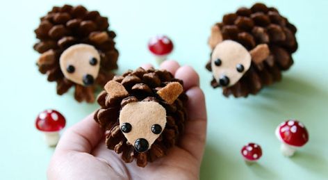 Pine Cone Hedgehogs | Play | CBC Parents Fairy Pots, Julie Arkell, Pinecone Crafts Kids, Hedgehog Craft, Pinecone Crafts, Pine Cone Art, Craft Easy, Fun Fall Activities, Autumn Activities For Kids