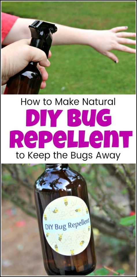 For when you need a DIY bug repellent recipe that is easy to make and all natural. Make homemade bug spray with essential oils to keep those pesky bugs away. Homemade bug repellent that can be safe and effective to enjoy nature with the ones you love. #diybugrepellent #homemadebugspray #homemadebugrepellent #naturalbugspray Diy Bug Repellent Spray, Essential Oil Bug Repellent, Homemade Bug Repellent, Repellent Diy, Essential Oil Bug Spray, Diy Bug Repellent, Bug Repellent Spray, Homemade Bug Spray, Diy Bug Spray