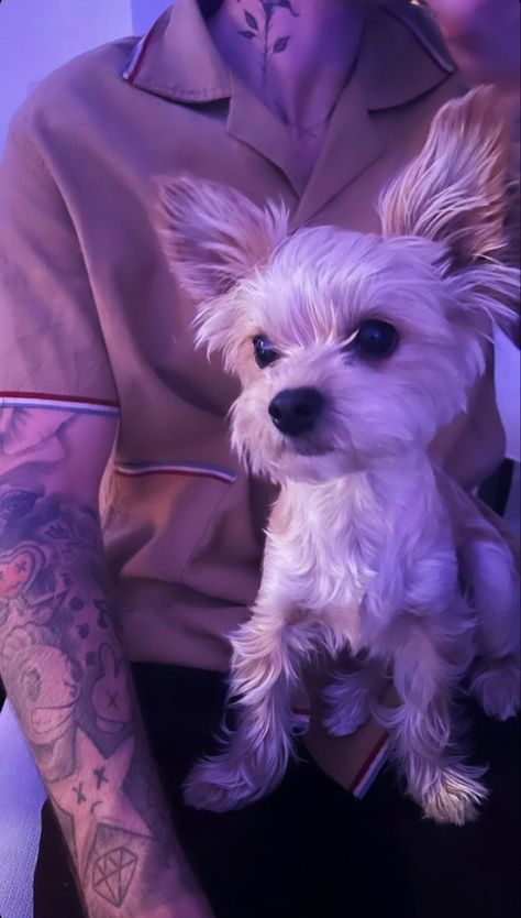 Justin Bieber Story, Justin Bieber Boyfriend, Justin Bieber Smile, Justin Bieber Wallpaper, Justin Hailey, Yorkie Lovers, Justin Bieber Photos, Justin Bieber Pictures, I Love Justin Bieber