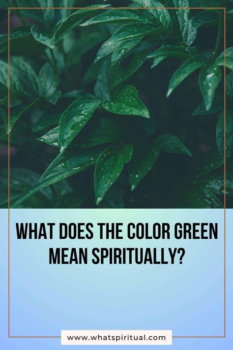 14 Spiritual Meanings of Color Green, Symbolism & Psychology 2 Color Green Meaning, Green Symbolism, Green Meaning, What Do Colors Mean, Psychology Symbol, Spiritual Psychology, The Color Green, Color Meanings, Different Shades Of Green