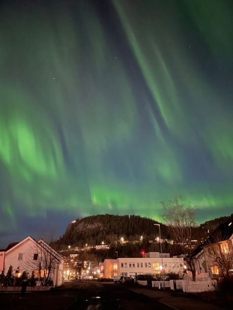 Norway Aurora, Norway Aurora Borealis, Arora Lights Norway, Aurora Lights, Aurora Australis, Aurora Borealis, Travel Bucket List, Travel Bucket, Norway