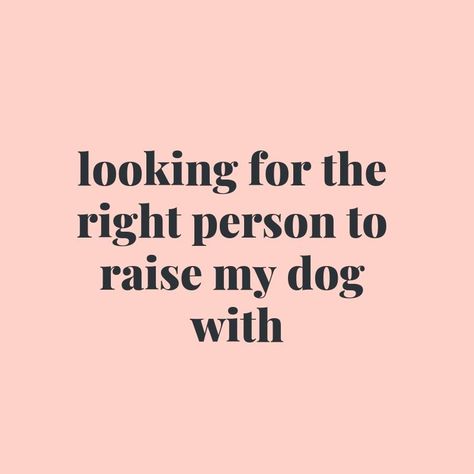 No shame!  #dogmom #dogsofinstagram #instadog #instapuppy #pamperedpup #doglife #dogfashionista #petboutique #petwear Love Quotes For Him Boyfriend, Dog Mom Quotes, Dog Lover Quotes, Dog Quotes Love, Dog Quotes Funny, Love Quotes For Her, Arabic Love Quotes, Cute Love Quotes, Animal Quotes