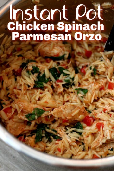 Instant Pot Chicken Spinach Parmesan Orzo--a one pot meal with chicken, pasta, tomatoes, spinach and parmesan cheese. #instantpot #instapot #chicken #easydinner #onepotmeal Instant Pot Chicken And Spinach Recipes, Instant Pot Recipes Ww, Instapot Chicken And Orzo, Instapot Orzo Chicken, Instant Pot Recipes With Spinach, Instapot Orzo Recipes, Chicken Tomato Orzo Recipes, Instapot Chicken Orzo Recipes, Chicken Orzo Instant Pot Recipes