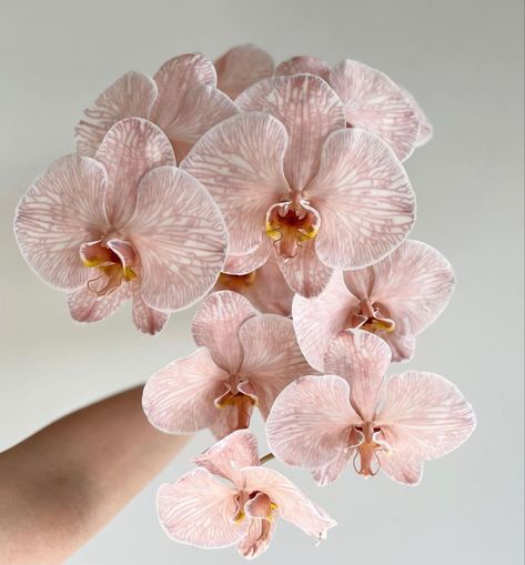 Pink Orchids Bouquet, Digital Wellness, Orchid Bouquet, Nothing But Flowers, Pink Orchids, No Rain, Flower Therapy, Orchid Flower, Exotic Flowers