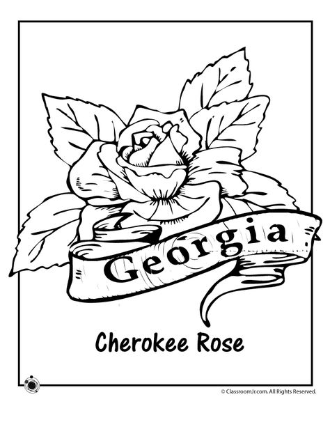 Georgia State Flower Coloring Page | Woo! Jr. Kids Activities Georgia State Flower, Georgia Flower, Mind Tattoo, Rose Coloring, Cherokee Rose, Rose Coloring Pages, Flag Coloring Pages, Abstract Coloring Pages, Tree Coloring Page