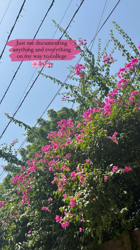 Caption For Photos With Flowers, Lines For Story Instagram, Flower Picture Captions For Instagram, Caption For Pic With Flowers, Flower Insta Story Ideas, Unique Snap Ideas, Unique Snap Streak Ideas, How To Click Aesthetic Pictures, Caption For Flowers Pictures