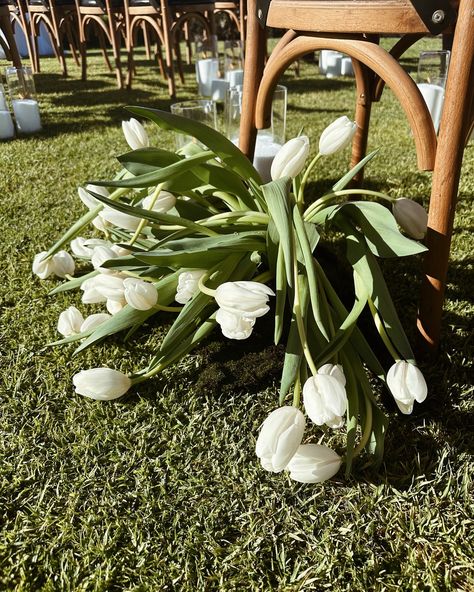 The tulip mound 🌷🌿 I personally LOVE a droopy tulip but I know others have a very different opinion 😂 How do you feel about them? #riverbank #riverbankestate @riverbankestate_weddings #swanvalley #swanvalleywedding #tulips Tulips Wedding Bouquet, Wedding Tulips, Tulips Wedding, Tulip Wedding, White Tulips, Tulips Flowers, Flower Bouquet Wedding, Do You Feel, Backyard Wedding