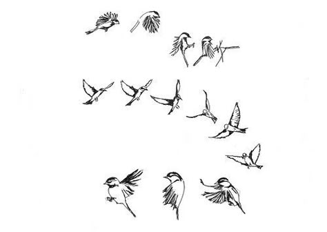 Funny Birthday Pictures, Animation Mentor, Bird Flight, Flight Patterns, Wings Drawing, Character Model Sheet, Motion Design Animation, Animation Reference, Dragon Artwork