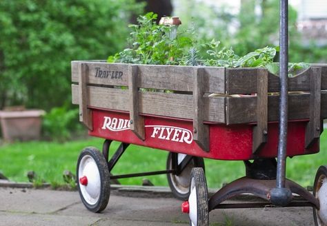 Repurpose kids' red wagon as garden cart Wagon Ideas, Radio Flyer Wagon, Radio Flyer Wagons, Garden Wagon, Toy Wagon, Diy Herb Garden, Garden Cart, Bob Vila, Young House Love