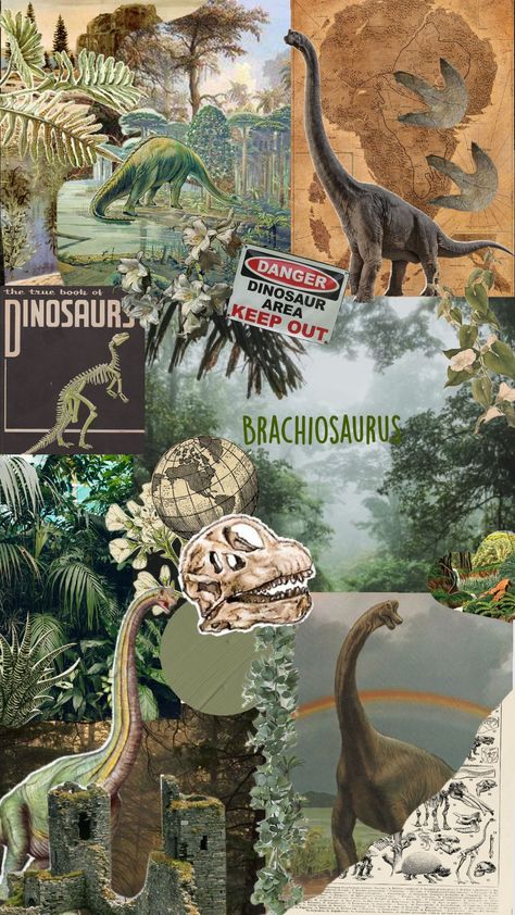 braquisaurus Dinosaur Posters, Dinosaur Wallpaper, Paleo Art, Dinosaur Background, Jurassic Park World, Dinosaur Art, Bullet Journal Art, Prehistoric Creatures, Prehistoric Animals