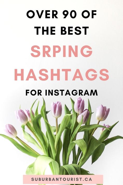 Have the best Spring hashtags for Intsagram at your fingertips for your Instagram posts. I've compiled general Spring hashtags, fashion Spring hashtags, Spring home decor and Spring activities. #Instagram #instagramtips #instagramhashtags #hashtags #socialmediatips #Spring #Springphotos | hashtags for Spring April Hashtags, Winter Hashtags, Insta Hashtags, Spring Lifestyle, Hashtags For Instagram, Instagram Business Marketing, Fashion Hashtags, Instagram Marketing Tips, Spring Mood