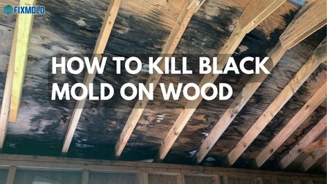 #Mold can be a pesky problem to get rid of, but if you know how to kill black mold on wood, you can eradicate it fairly easily. The key is to identify the type of mold you are dealing with, then use the appropriate method of eradication. In most cases, this will involve using an […] How To Get Rid Of Black Mold On Walls, How To Get Rid Of Black Mold, How To Get Rid Of Mold On Wood, How To Get Rid Of Mold, Kill Black Mold, Black Mold Removal, Natural Wood Cleaner, Clean Black Mold, Kill Mold