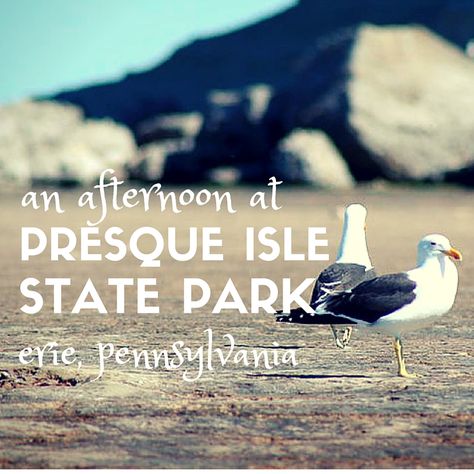 Collect some sea glass and ride your bike along the trails at Presque Isle State Park in Erie PA #daytripsanddaydreams Presque Isle State Park, Pennsylvania Travel, Presque Isle, Adventure Inspiration, Erie Pa, Bike Rides, Summer Plans, Travel Outdoors, Outdoor Quotes