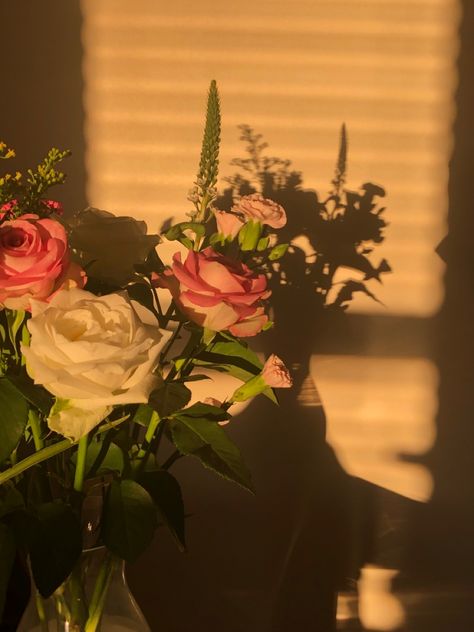 Golden hour and pink and white roses in a vase Golden Hour Aesthetic, Light Pink Rose, Aesthetic Pics, Pink Room, Golden Girl, Film Aesthetic, Golden Hour, Pink Roses, Aesthetic Pictures