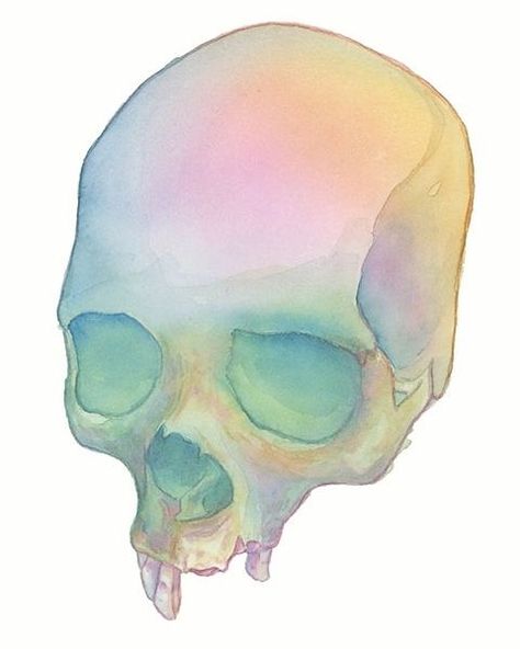 Skull With Eyes, Pastel Skull, Watercolor Pencil Art, Tenacious D, Art Apps, Diy Watercolor Painting, Skull Painting, Skull Drawing, Human Skull