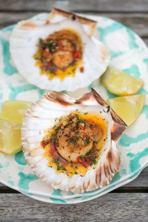 You only need a handful of ingredients to make pan-fried scallops! Serve with the spiced herby butter sauce on their half shell and prepare to impress. Pan Fried Scallops, Seafood Lunch, How To Cook Scallops, Seafood Dish Recipes, Baked Scallops, Grilled Scallops, Grilled Oysters, Stuffed Shells Recipe, Shellfish Recipes