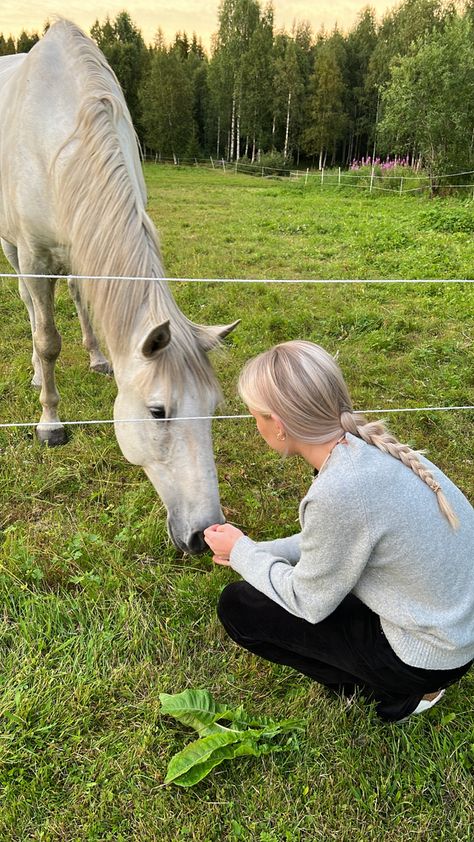 #summer #horse #blonde #girl #wallpaper #instagram #aesthetic #fashion #sweden #scandinavia #scandi #summerhouse #landet #farmhouse #animals #braids Blonde Horse Aesthetic, Horse Summer Aesthetic, Karlina Core, Sweden Girl Aesthetic, Sophie Foster Aesthetic, Blonde Equestrian, Alina Core, Farm Girl Aesthetic, Blonde Horse