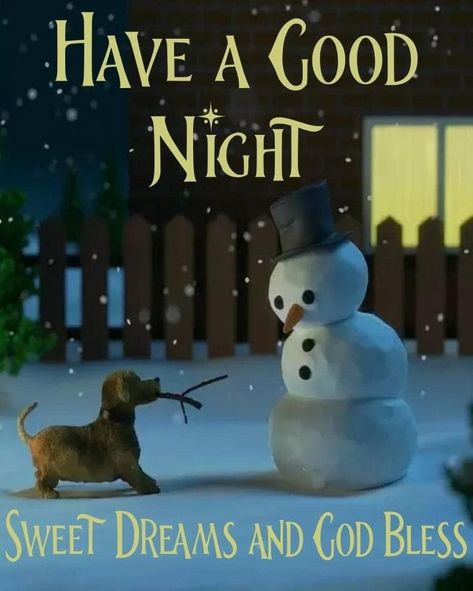 Goodnight Christmas Images, Beautiful Sister Quotes, Goodnight Snoopy, Have A Blessed Night, Good Night Everyone, Beautiful Good Night Images, Snoopy Quotes, Winter Images, Night Pictures