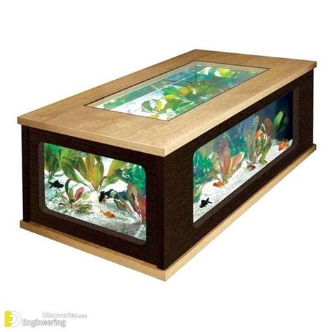 Top 40 Amazing Aquarium Coffee Table Design Ideas - Engineering Discoveries Fish Tank Table, Fish Tank Coffee Table, Aquarium Coffee Table, Aquarium Diy, Types Of Coffee Tables, Fish Tank Stand, Amazing Aquariums, Aquarium Stand, Epoxy Table Top