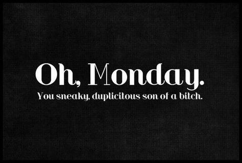 I Dont Like Mondays, Monday Pictures, I Hate Mondays, Monday Memes, Hate Mondays, Monday Humor, Memories Quotes, Daily Quotes, Morning Quotes