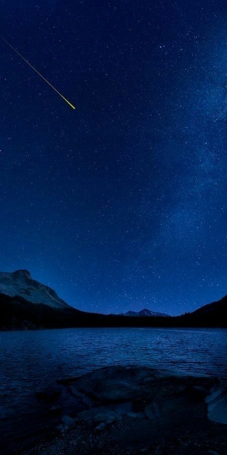 So very beautiful Photo Ciel, Faraway Tree, Beautiful Night Sky, Sky Full Of Stars, Midnight Sky, The Night Sky, Klein Blue, Love Blue, Beautiful Sky