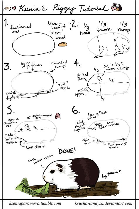 Guinea Pig Diy, Pig Stuff, Baby Guinea Pigs, Guinea Pig Bedding, Pig Drawing, Pet Guinea Pigs, Pig Art, Guinea Pig Care, Cute Guinea Pigs