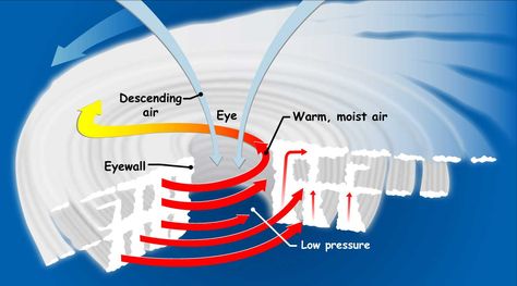 This is a picture of how a hurricane forms and the  name of the part of. Hurricane. Wind Map, Earths Rotation, Weather Unit, Severe Storms, Storm Surge, Earth Surface, Diagram Design, Tropical Storm, Weather And Climate