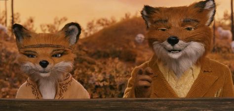 Fox Matching Pfp, Fantastic Fox, Mister Fantastic, Wes Anderson Movies, Wes Anderson Films, Fantastic Mr Fox, Childhood Movies, Mr Fox, Dark Art Illustrations