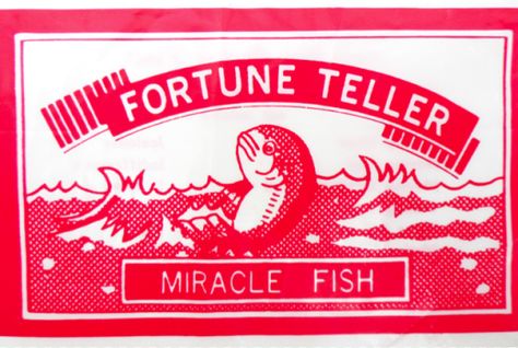 What’s your typographic fortune? Fishing Party Favors, Lucky Fish, Fishing Party, Screen Print Poster, Grace Jones, Palm Reading, Fish Drawings, Hot Gifts, Novelty Toys