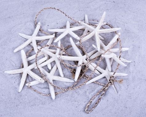 PRICES MAY VARY. 120" / 10ft. Length rope, with loops tied on each end 12 pcs 4-6" Real White Starfish Coastal Beach Christmas Decor for Christmas Trees, and draping garlands Beachy-chic Home Decor Nautical Wedding Decor Starfish & Seashell Garland Beach Christmas Decorations 120" with 12PCS Starfish & Natural Sea Shells Ornaments, for Coastal Beach Christmas Decor, great for beachy-chic home decor, Nautical /beachy wedding decor.