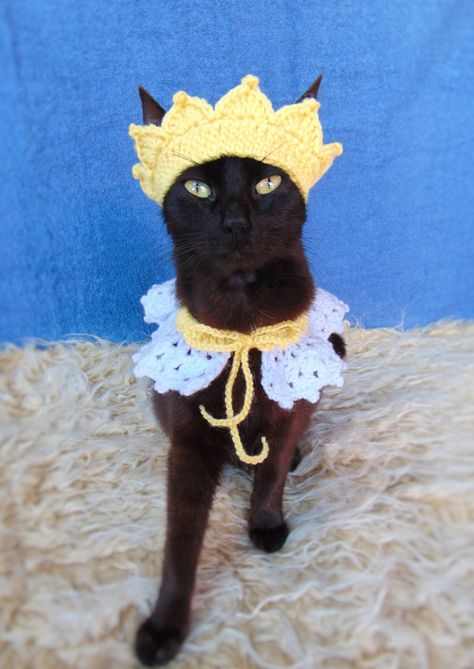 Crown and collar for cat, Princess cat outfit, Headpiece for kitten, kitty collar, Cat accessories, Gift for cat lover Crochet Cat Outfits, Cat Crochet Collar, Cat Outfits Pets, Cat Wearing Crochet Hat, Cat Princess, Crystal Cat Collar, Cat Outfit, Cats Pattern, Cat Beanie