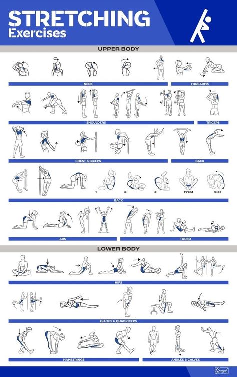 Poster Exercise, Ab Workouts At Home, Fitness Poster, Gym Antrenmanları, Gym Poster, Trx Workouts, Home Gym Exercises, Gym Workout Chart, Workouts At Home