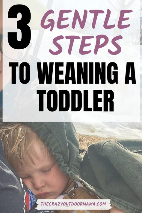 Weaning Toddler, Weaning Breastfeeding, Lamaze Classes, Stopping Breastfeeding, Pumping Moms, Fantastic Baby, Baby Sleep Problems, Breastfeeding And Pumping, Baby Arrival