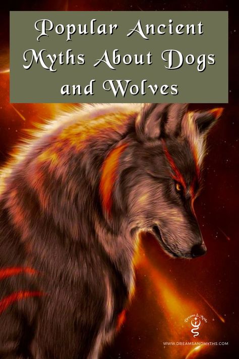 Mythology Wolf Mythology, Dog Brand, Be Loyal, About Dogs, Dog Branding, Ancient Myths, Inspo Board, Greek Mythology, Wolves