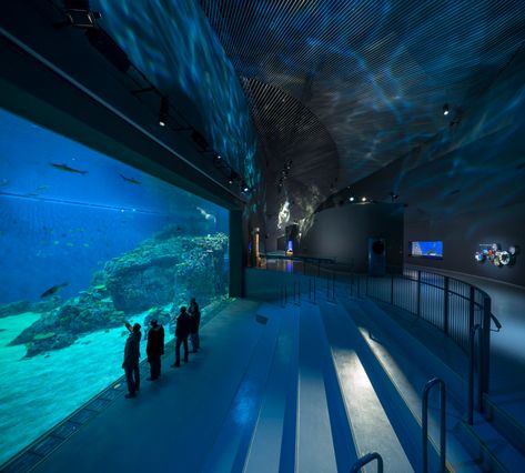 Gallery of Building Wonder: Global Aquariums Capture a Blue World - 1 Blue Planet Aquarium, Planet Pictures, Aquarium Architecture, Public Aquarium, The Blue Planet, Denmark Travel, Blue Lights, 3d Architectural Visualization, Blue Planet