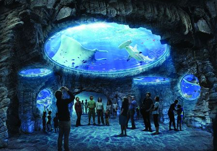 Aquarium at Hong Kong's Ocean Park Ocean Park Hong Kong, Hong Kong Travel, Ocean Park, China Travel, Future Travel, Oh The Places Youll Go, Aquariums, Asia Travel, Travel Around The World