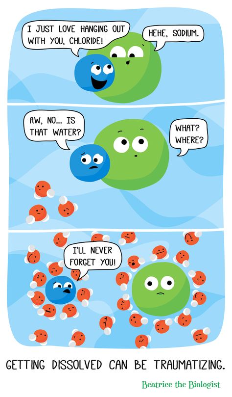 Beatrice the Biologist: Getting Dissolved Can Be Traumatizing Science Comics, Biology Humor, Nerdy Jokes, Nerdy Humor, Science Puns, Chemistry Classroom, Chemistry Humor, Nerd Jokes, Chemistry Jokes