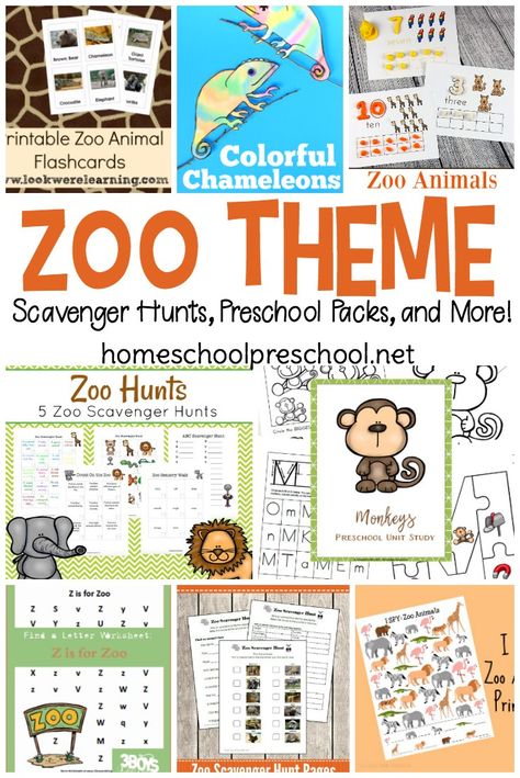 Wild Animals Theme Preschool Activities, Zoo Preschool Theme, Zoo Theme Activities, Zoo Printables, Zoo Activities Preschool, Zoo Lessons, Zoo Animal Activities, Preschool Homework, Preschool Zoo Theme