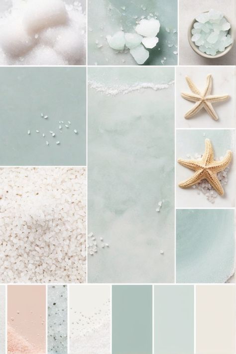 Coordinating Colors, Stylish Sea Salt, Color Combinations, 2024 Trends Sherwin Williams Sea Salt Accent Colors, Color Palette Aqua, Sea Salt Accent Colors, Seaside Color Palette, Sw Sea Salt Paint, Sea Salt Sherwin Williams Color Palette, Sherwin Williams Sea Salt Color Palette, Sw Sea Salt Color Palette, Sea Salt Coordinating Colors