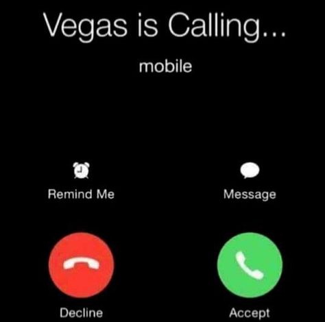 Vegas is calling Las Vegas Memes Humor, Vegas Funny Humor, Vegas Vacation Quotes, Vegas Memes Humor, Vegas Memes Funny, Vegas Quotes Funny, Vegas Humor, Vegas Memes, 21st Birthday Vegas