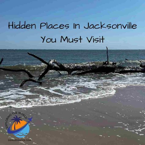 Hidden Places In Jacksonville Florida You Must Visit: https://denisesanger.com/hidden-places-in-jacksonville/ #jacksonville #visitjacksonville #florida #jaxbeaches Things To Do In Jacksonville Florida, Best Florida Vacations, Amelia Island Florida, Florida Adventures, Florida Lifestyle, Jacksonville Beach, Pretty Beach, Hidden Places, Beach Vacations