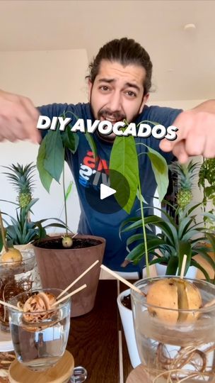 369K views · 7.1K reactions | DIY Avocados! 🥑 It’s time to grow your own food! 🤩🌱 #avocado | creative explained | creative explained · Original audio Food Avocado, Vegtable Garden, Creative Explained, Garden Retreat, Gardening Hacks, Plant Hacks, Pot Plants, Plants Indoor, Container Garden