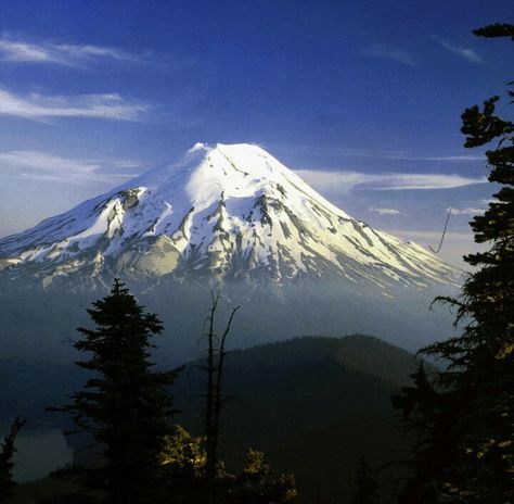 Mount Saint Helens, 1978       by David Bruer Washington Scenery, Mt Saint Helens, Mount Saint Helens, Mt St Helens, Mount St Helens, Oregon Vacation, Saint Helens, Western Washington, Gorgeous Scenery