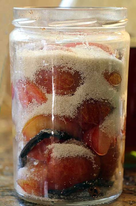 Drunken Fruit, Peaches And Cream Pie, Boozy Fruit, Plum Brandy, Brandy Recipe, Plum Preserves, Easy Canning, Plum Recipes, Homemade Liquor