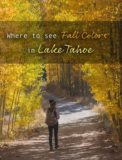 Fall In Lake Tahoe, Lake Tahoe Fall Vacation, Lake Tahoe In October, Lake Tahoe October, South Lake Tahoe Fall, Lake Tahoe Fall Outfits, Lake Tahoe Fall, Nevada Day, Lake Tahoe Trip